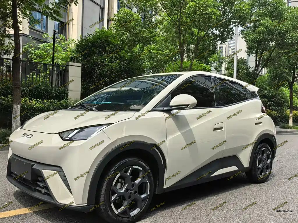 BYD Seagull 2025