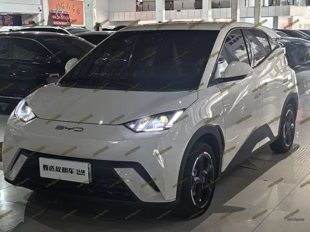 BYD Seagull 2023