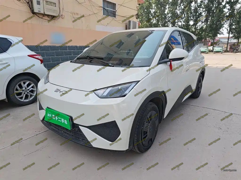 BYD Seagull 2025