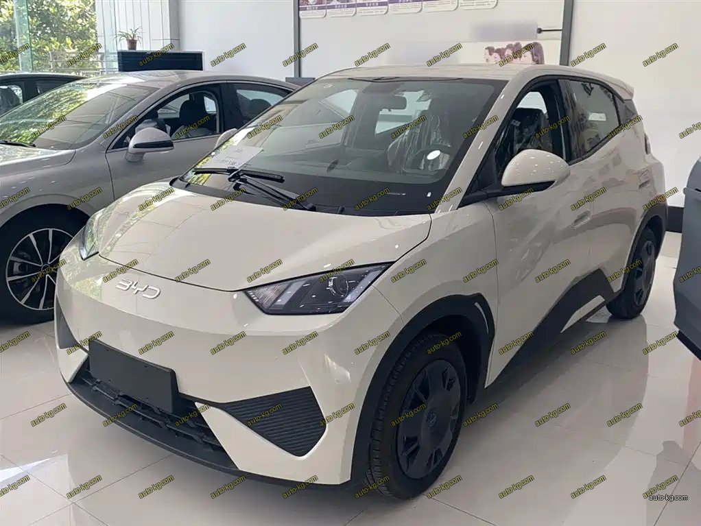 BYD Seagull 2026