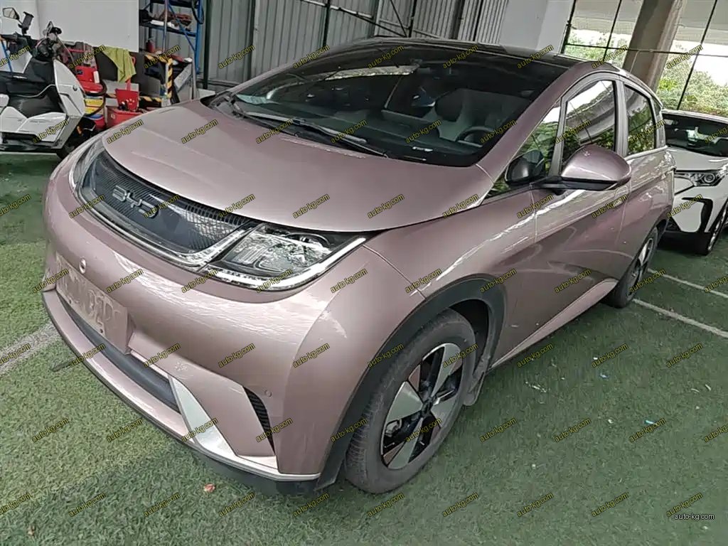 BYD Dolphin 2023