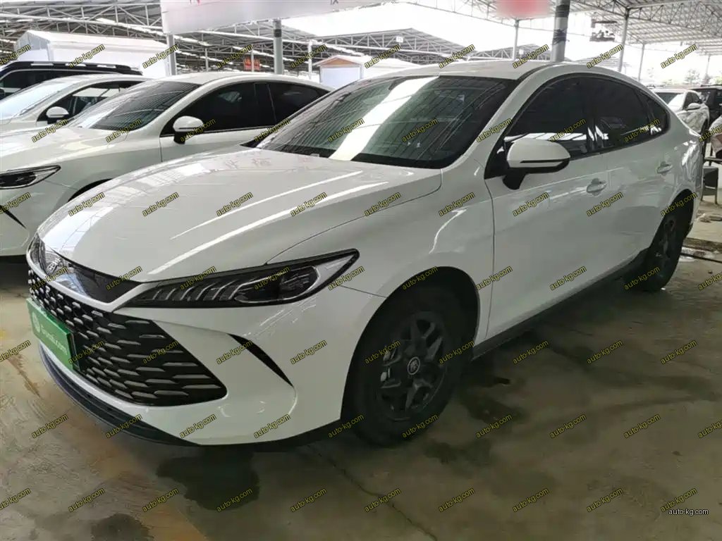 BYD Qin PLUS 2026