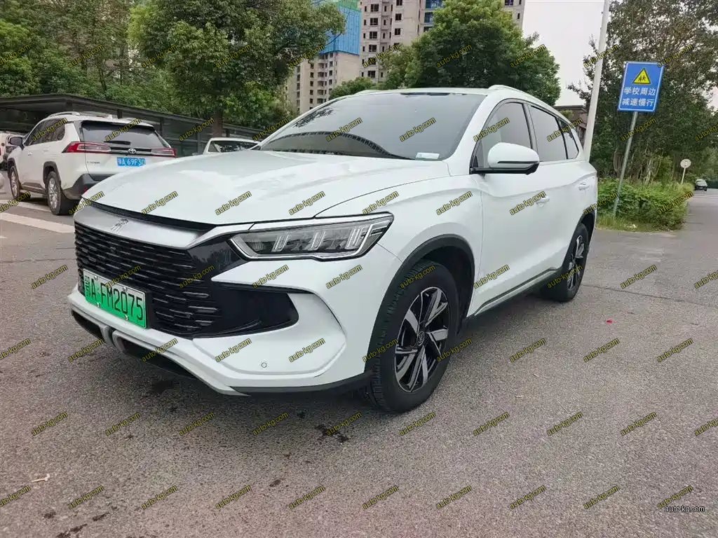 BYD Pro New Energy 2023