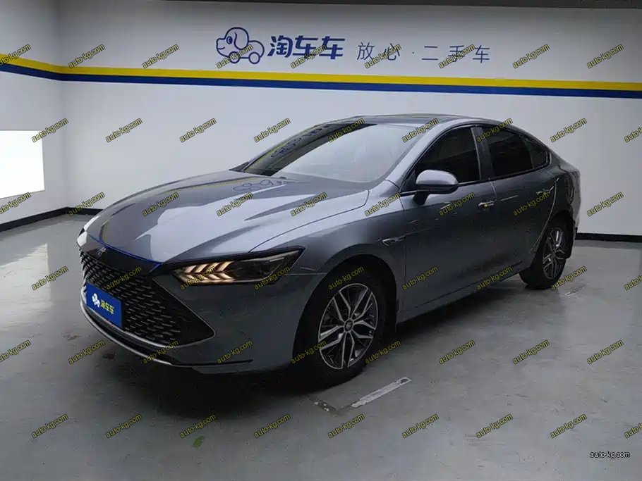 BYD Qin PLUS 2024