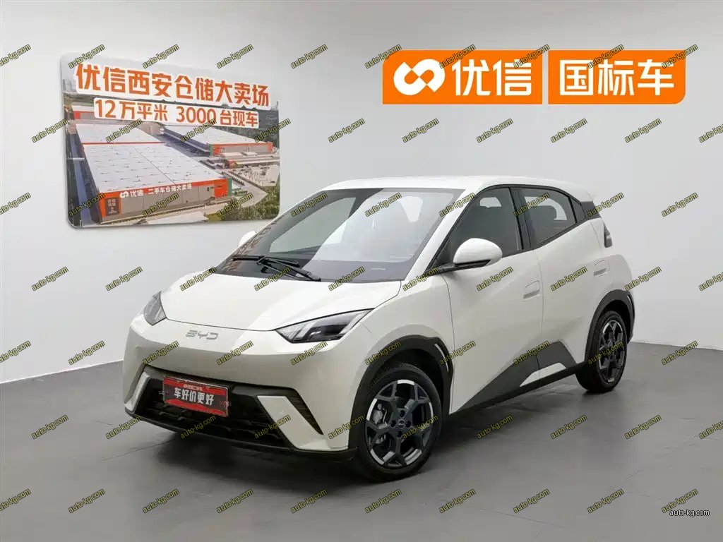 BYD Seagull 2025