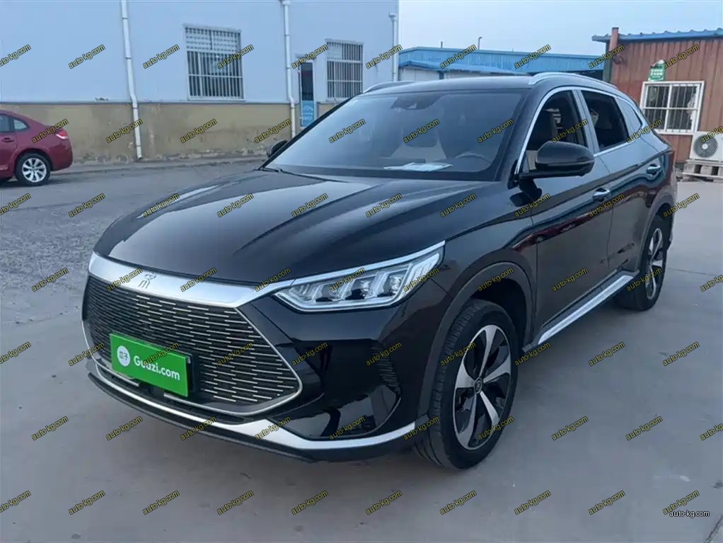 BYD PLUS New Energy 2021