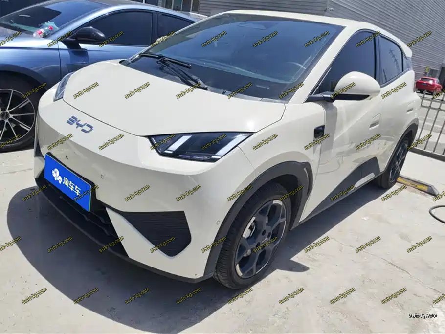 BYD Seagull 2025