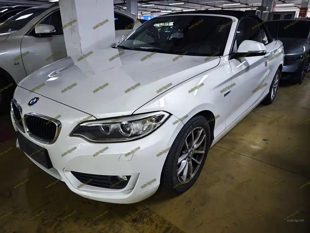 BMW 2 Series (Import) 2016