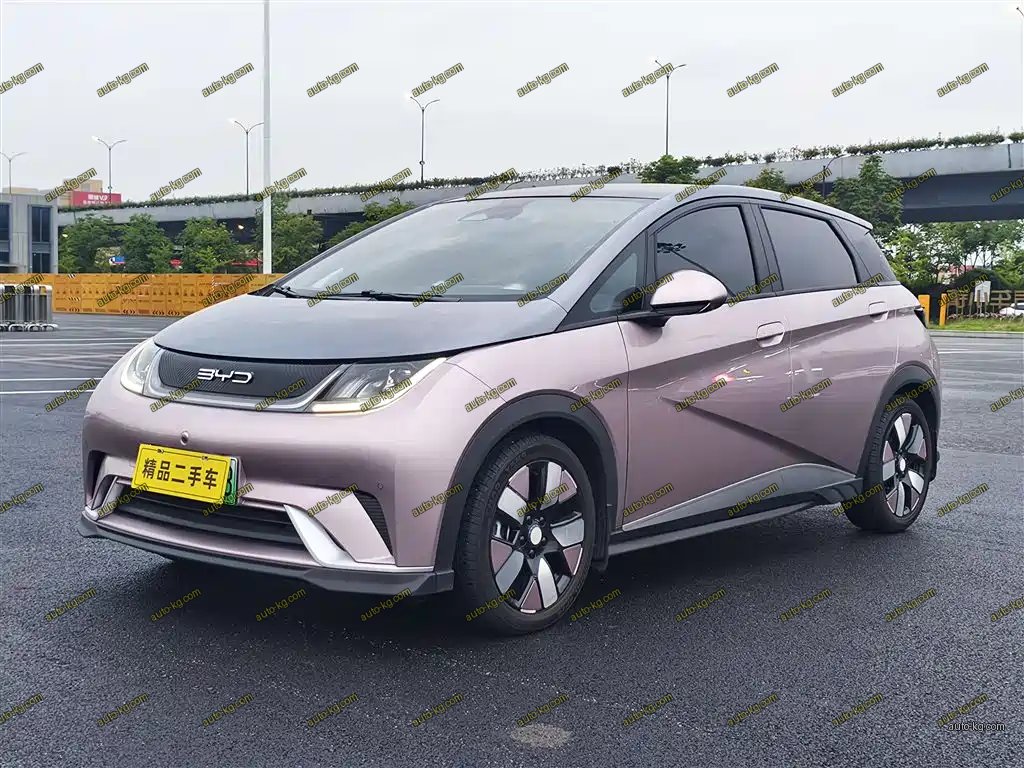 BYD Dolphin 2023
