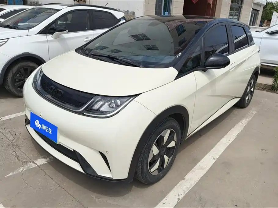 BYD Dolphin 2024