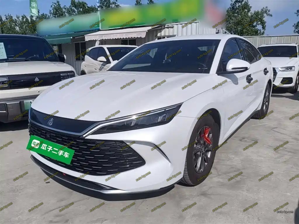 BYD Qin L 2024