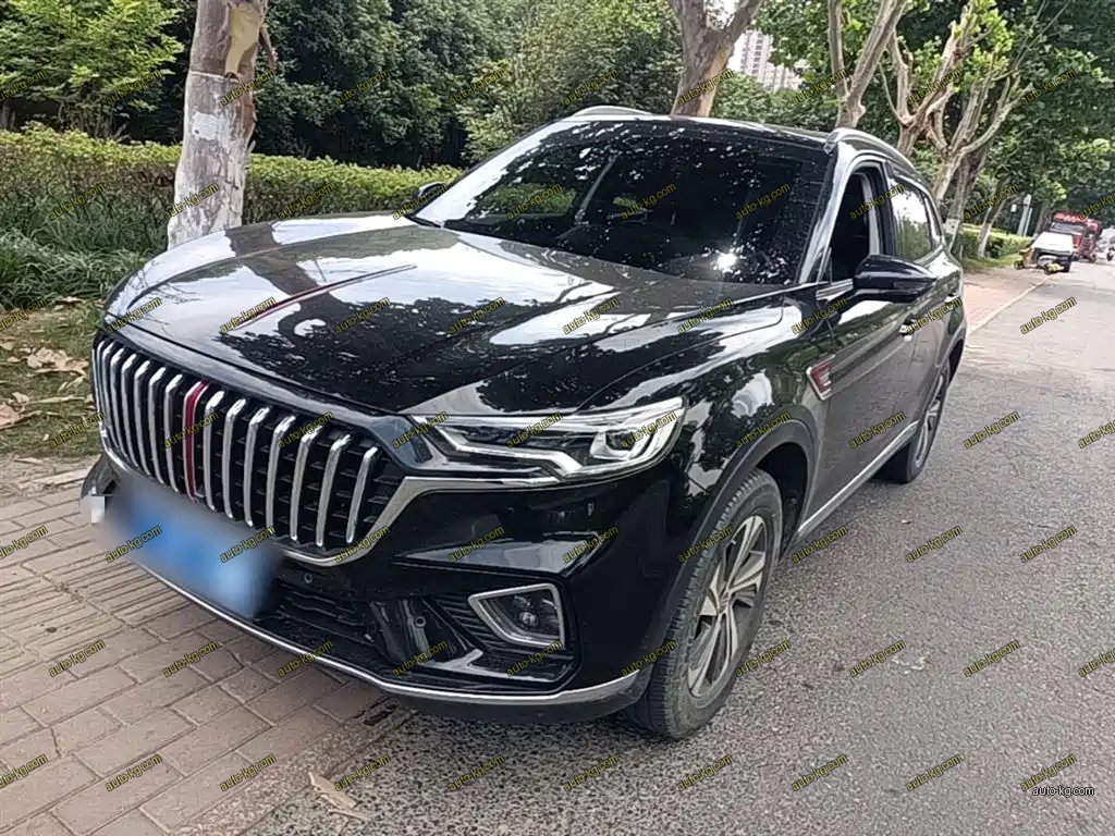 Hongqi Hongqi HS5 2020