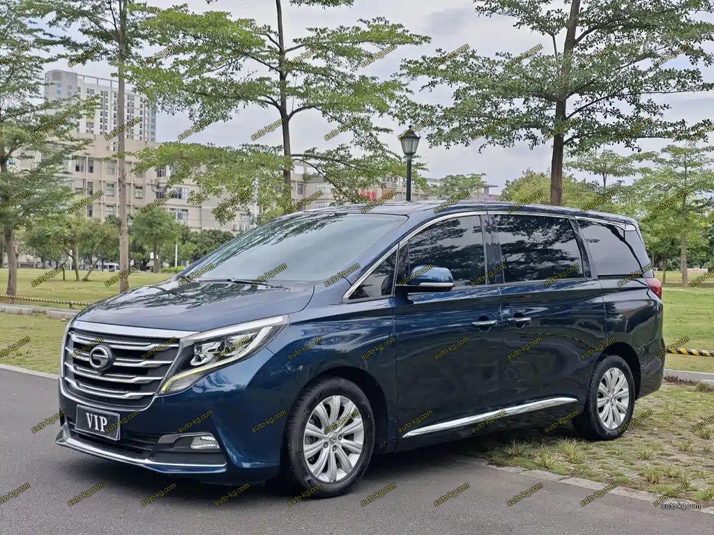 GAC Motor Trumpchi M8 2018