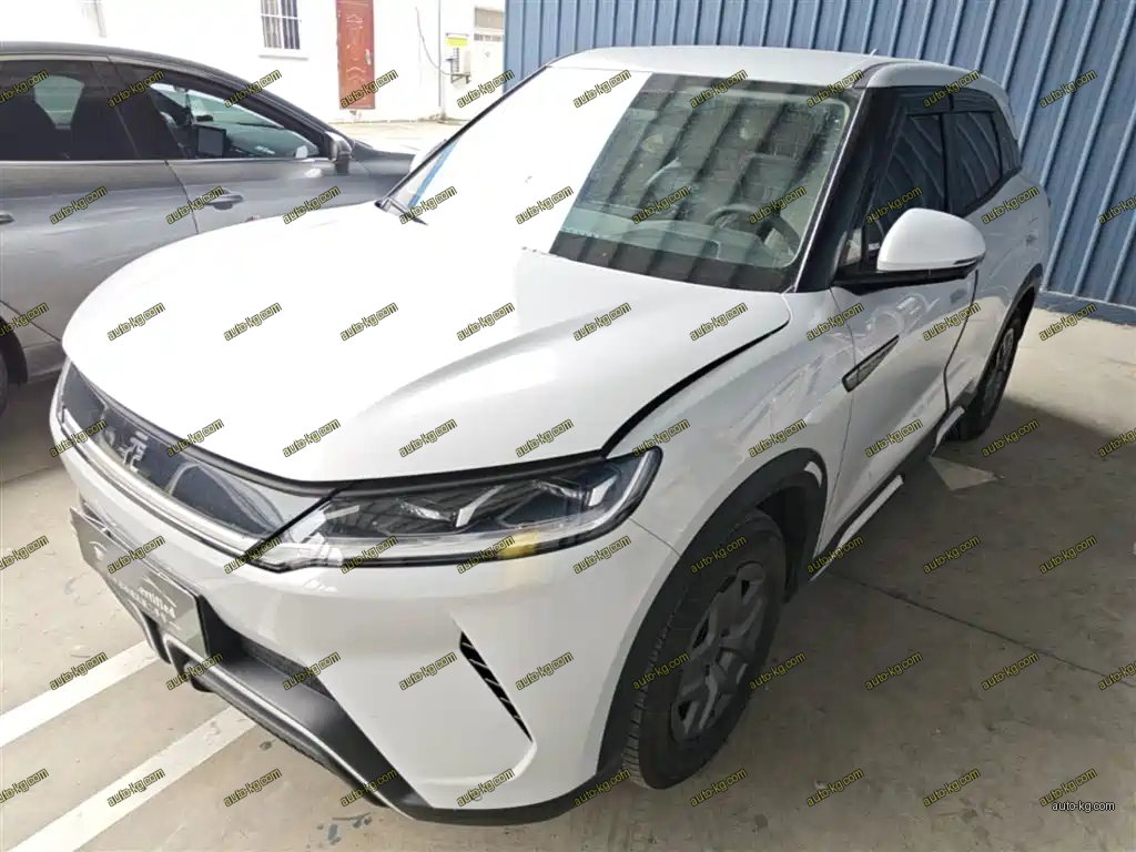 BYD Yuan UP 2024