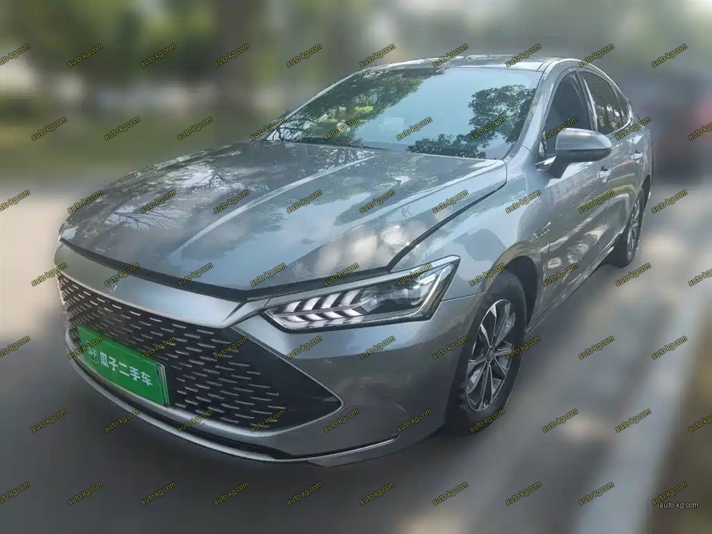 BYD Qin PLUS 2024
