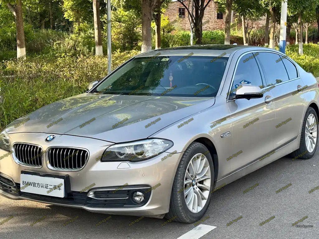 BMW 5 Series 2015