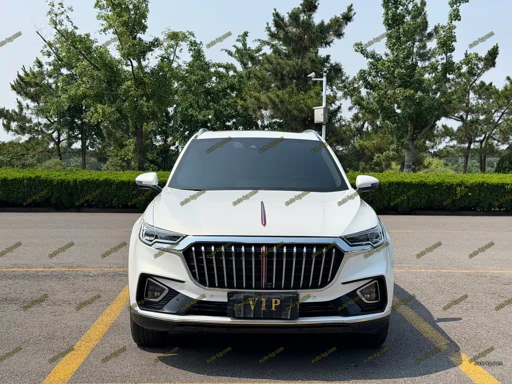 Hongqi Hongqi HS5 2020