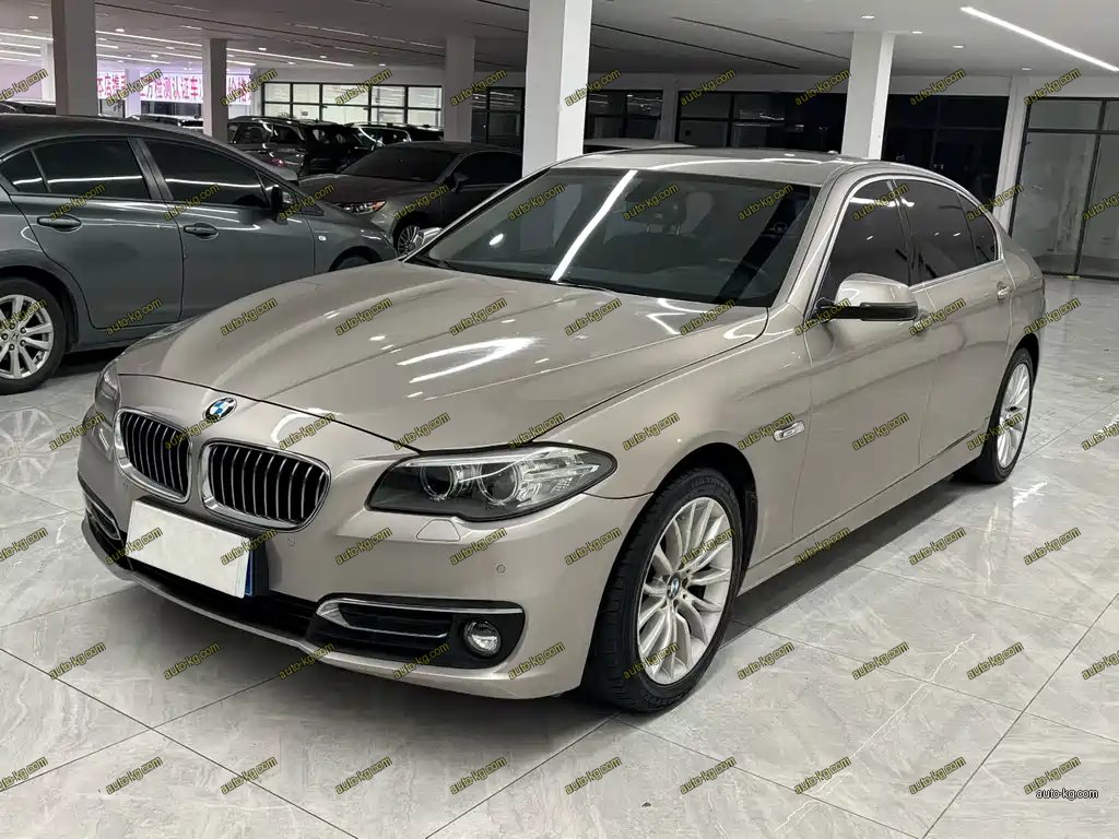 BMW 5 Series 2015