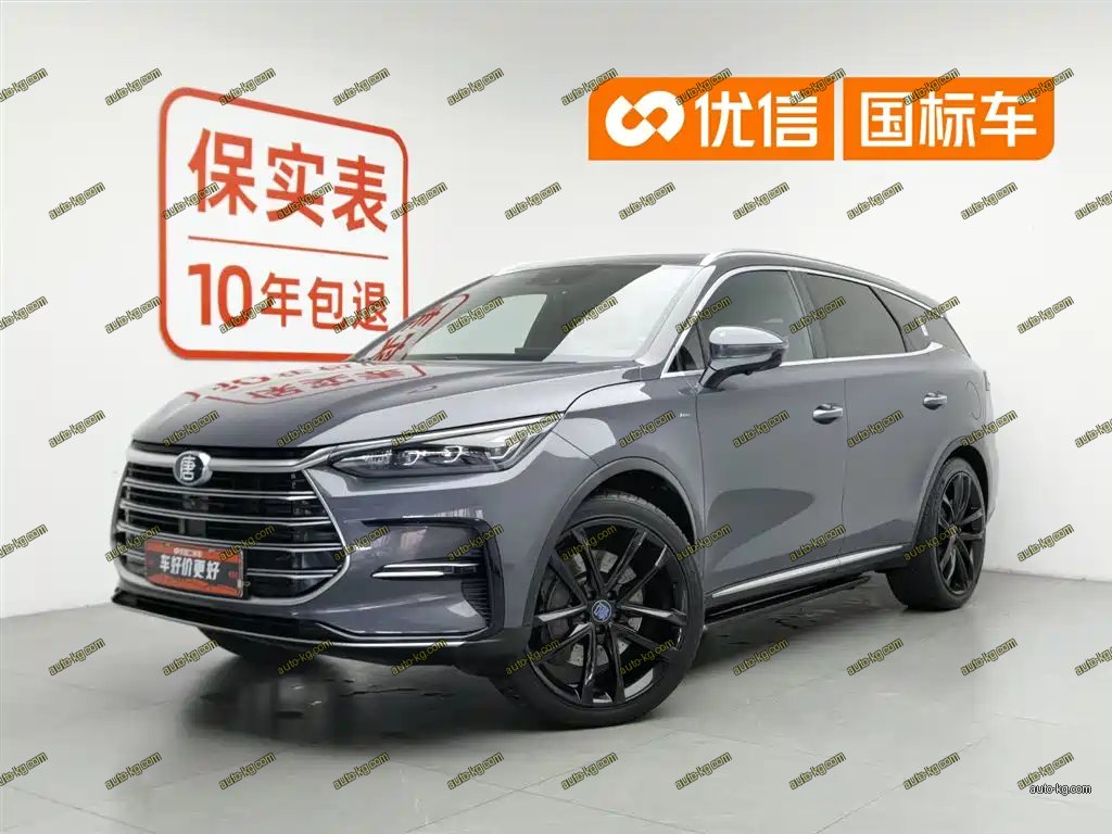 BYD Tang New Energy 2020