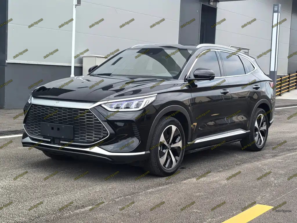 BYD PLUS New Energy 2022