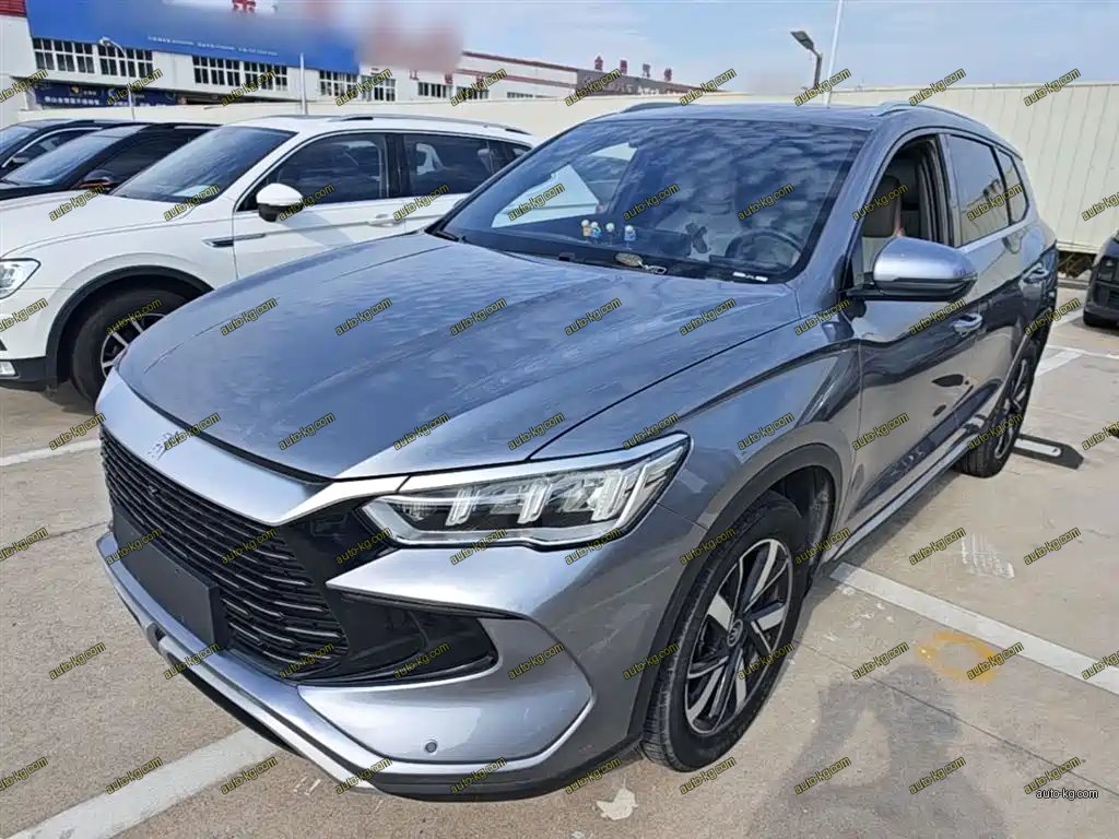 BYD Pro New Energy 2024