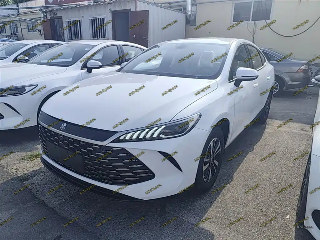 BYD Qin PLUS 2026