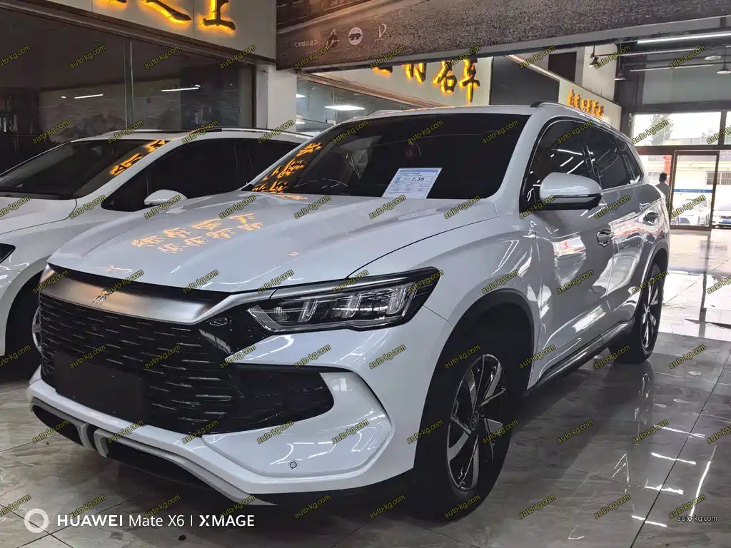 BYD Pro New Energy 2024
