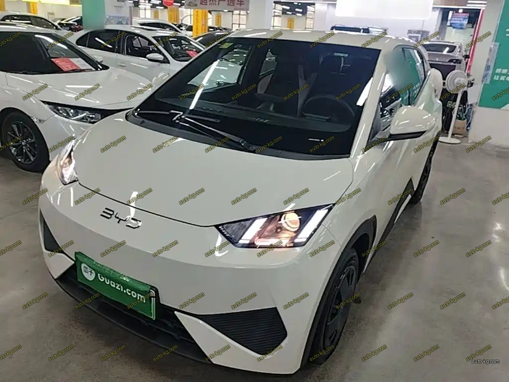 BYD Seagull 2026