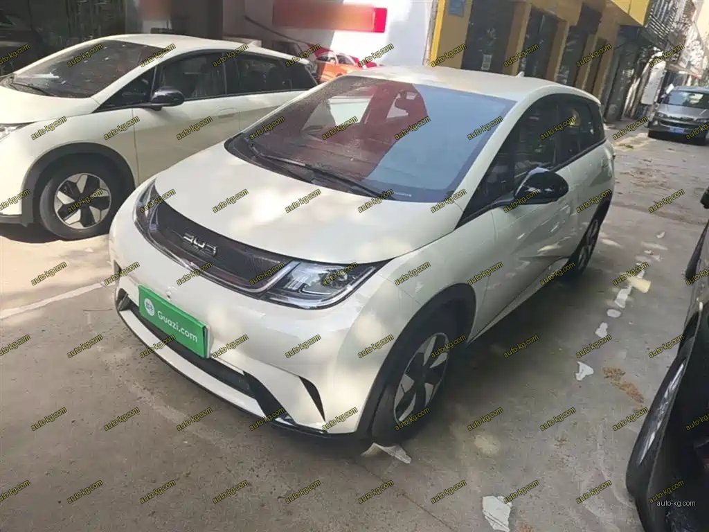 BYD Dolphin 2026