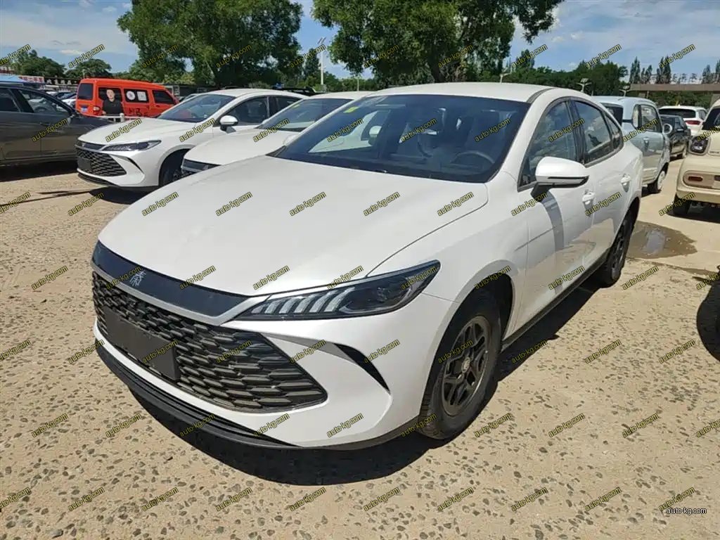 BYD Qin PLUS 2026