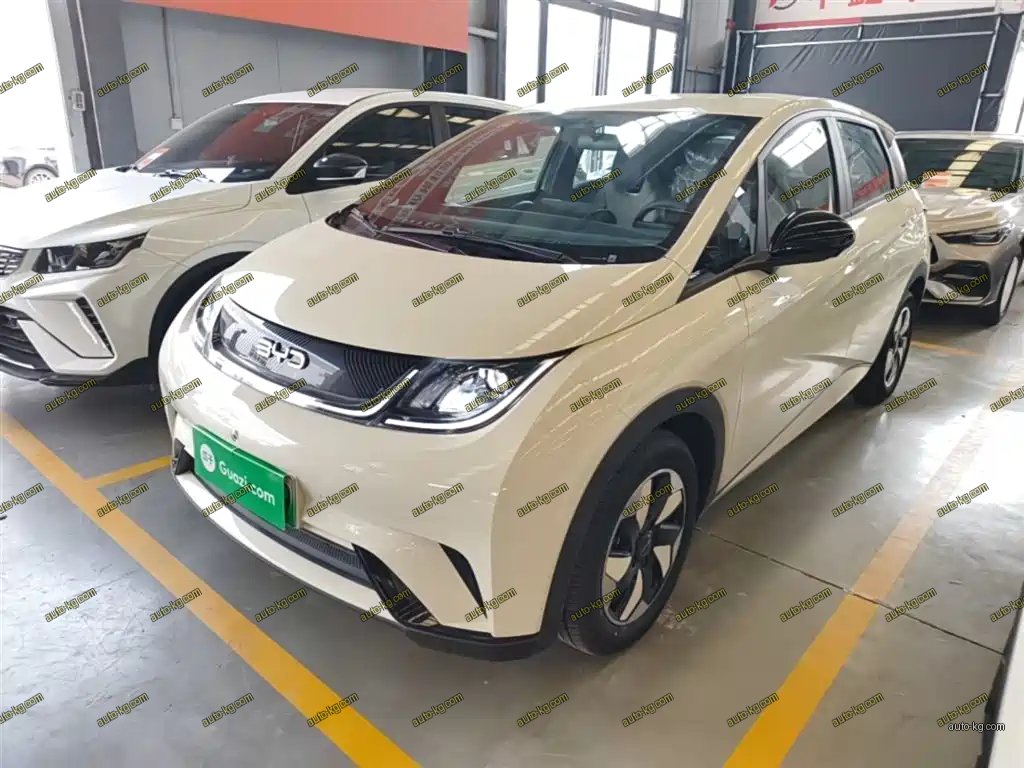 BYD Dolphin 2026