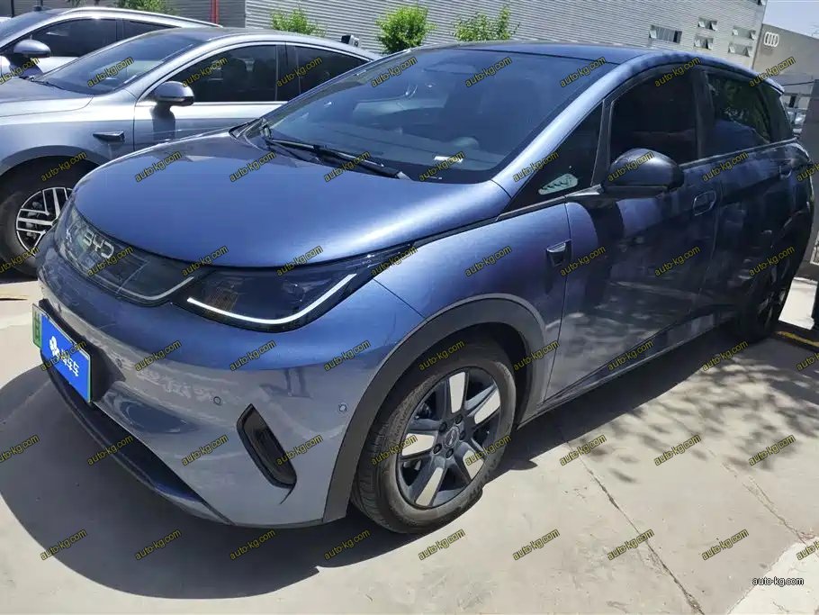 BYD Dolphin 2025