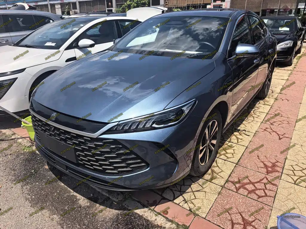 BYD Qin PLUS 2025