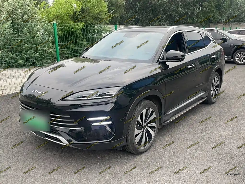 BYD PLUS New Energy 2024