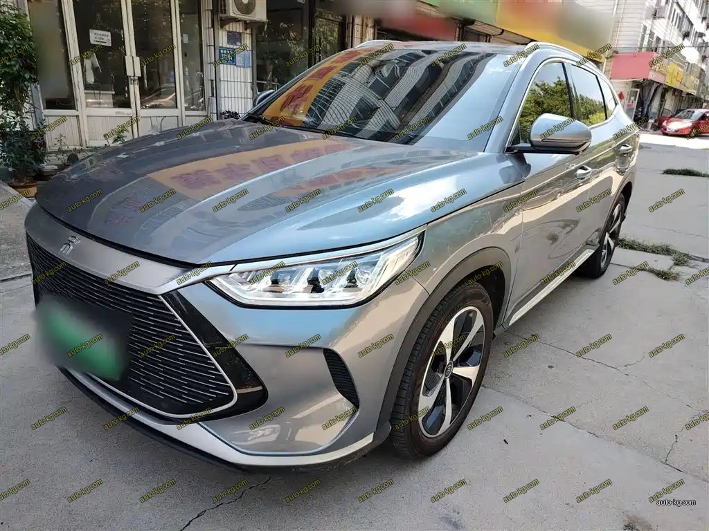 BYD PLUS New Energy 2023