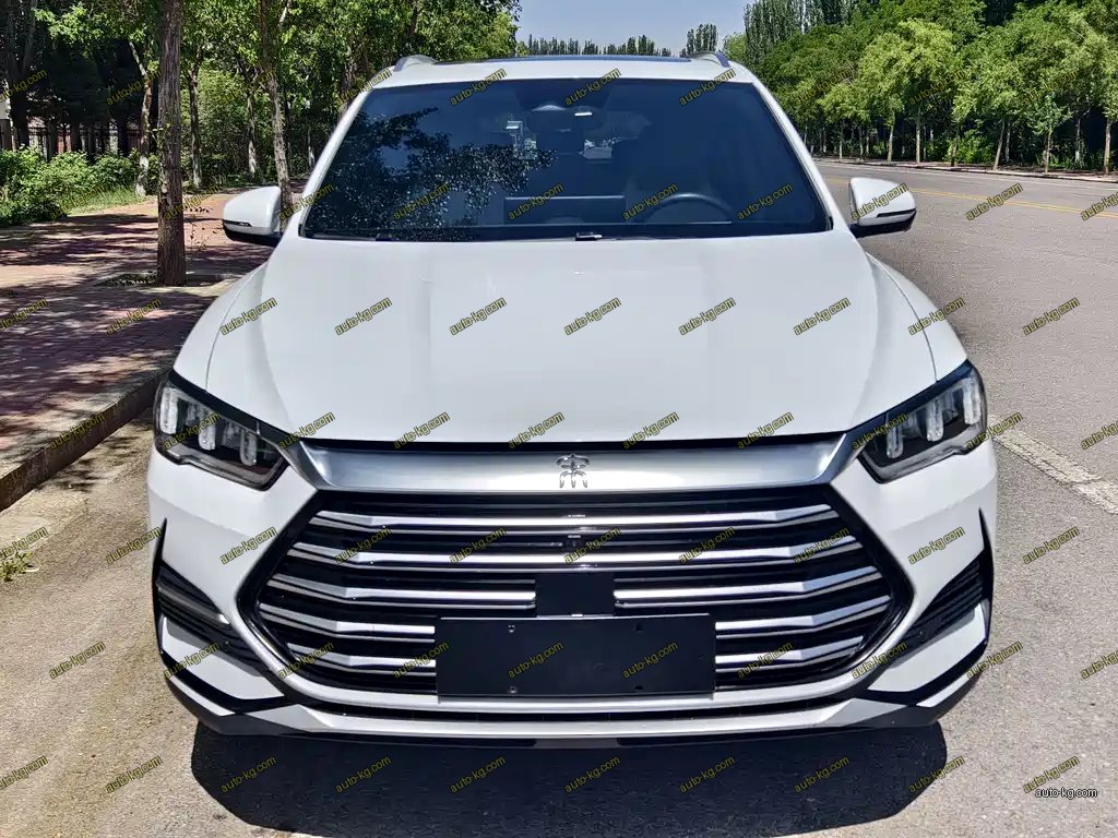 BYD Pro New Energy 2023