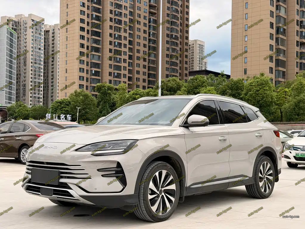 BYD PLUS New Energy 2024