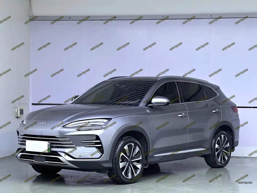 BYD PLUS New Energy 2025