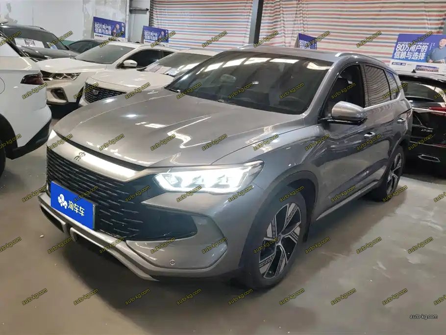 BYD Pro New Energy 2024