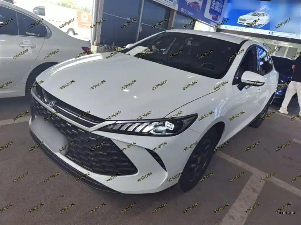BYD Qin PLUS 2026