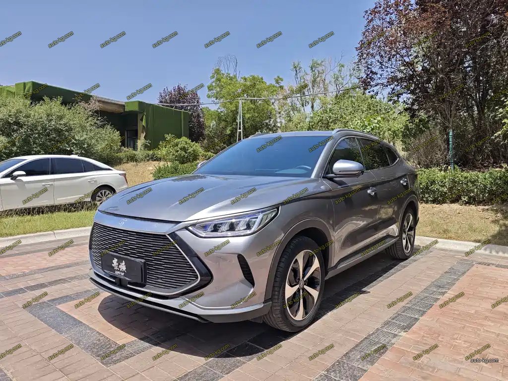 BYD PLUS New Energy 2023
