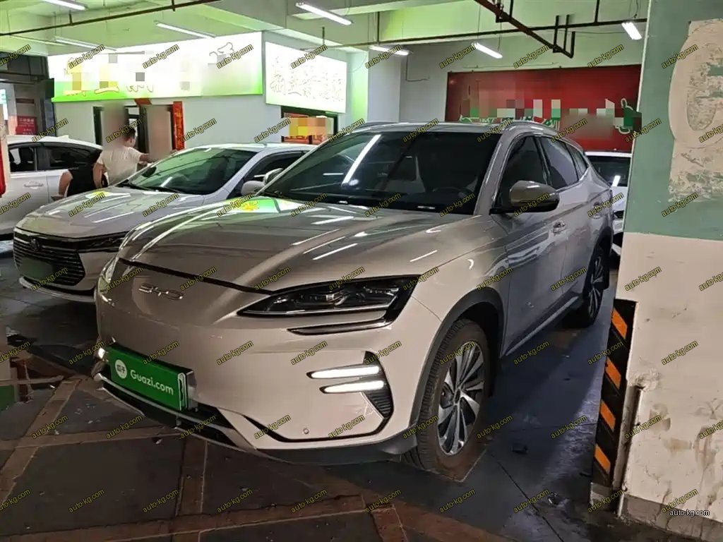 BYD PLUS New Energy 2024