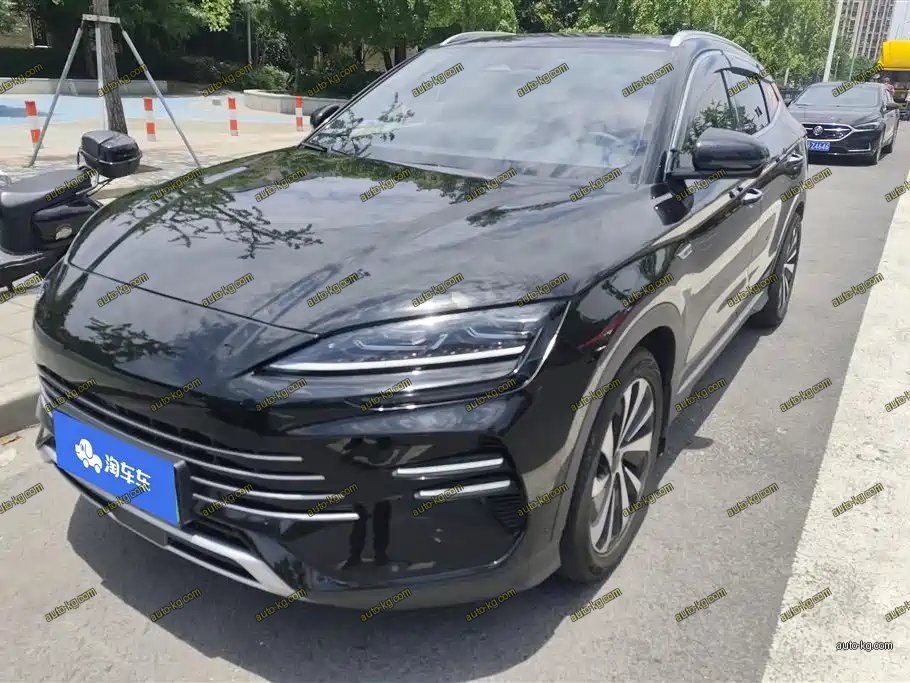 BYD PLUS New Energy 2024
