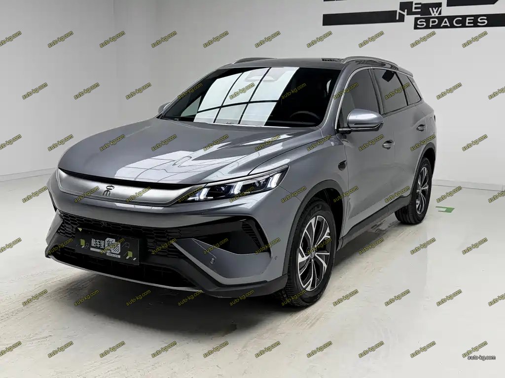 BYD Pro New Energy 2025