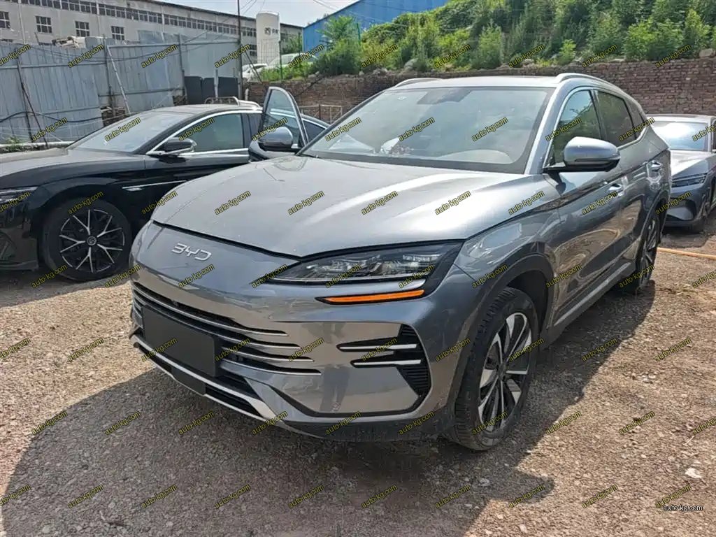 BYD PLUS New Energy 2024