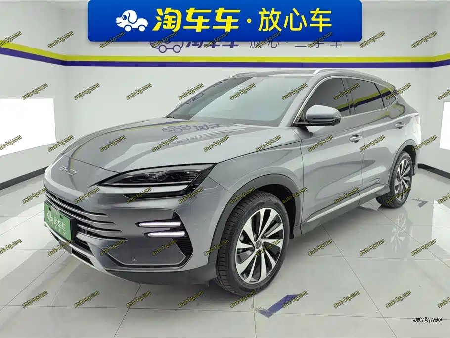 BYD PLUS New Energy 2024