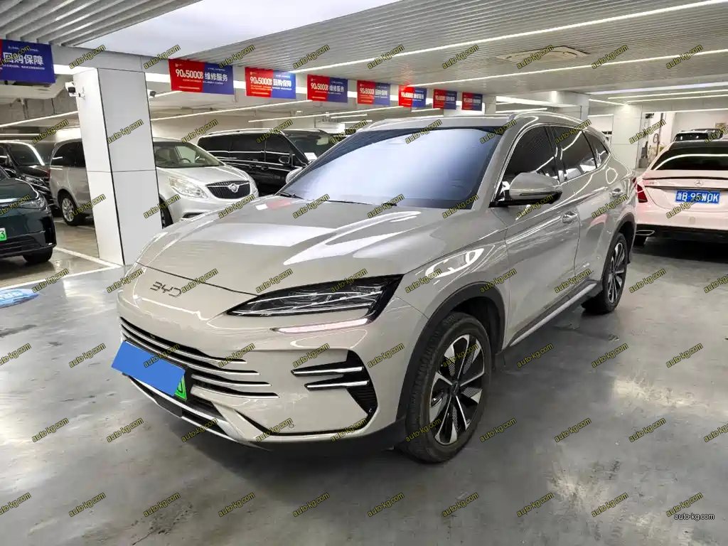 BYD PLUS New Energy 2025
