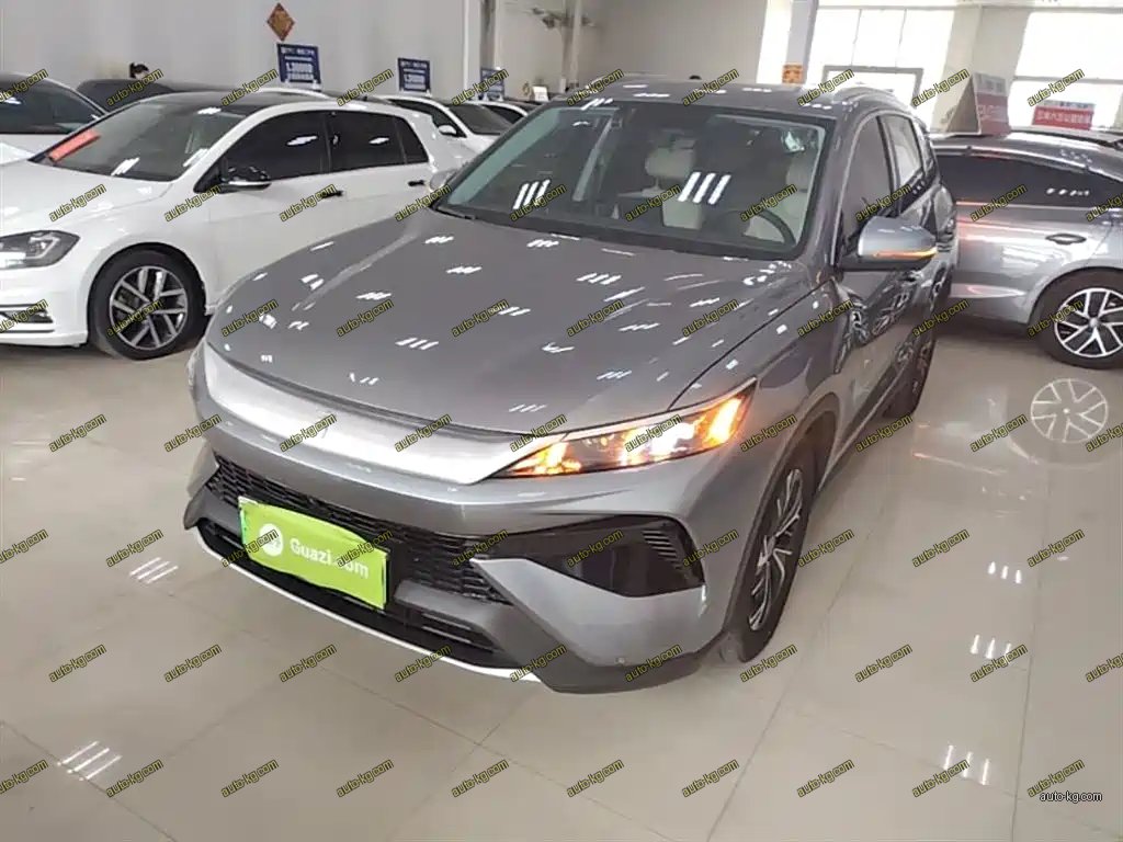 BYD Pro New Energy 2025
