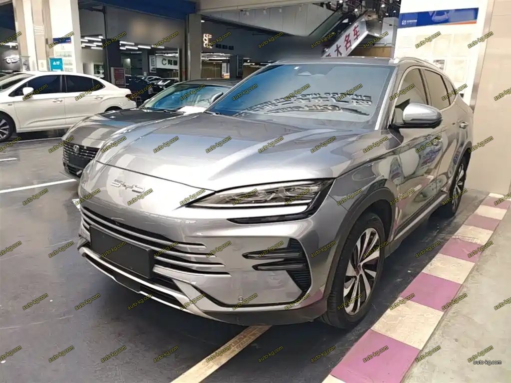 BYD PLUS New Energy 2024
