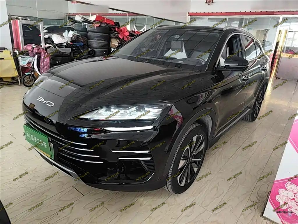 BYD PLUS New Energy 2025